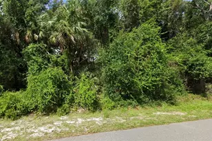 Nashville Rd, North Port, FL 34288 - Photo 1