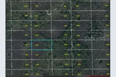 Dill Road, Orlando, FL 32820 - Photo 4
