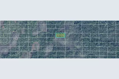 Dill Road, Orlando, FL 32820 - Photo 2