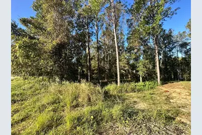 4478 Majestic Hills Loop, Brooksville, FL 34601 - Photo 36