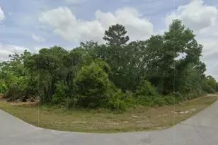 430 Grant Ave NE, Lake Placid, FL 33852 - Photo 1