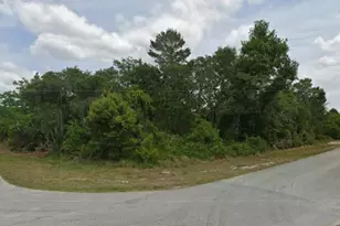 430 Grant Ave NE, Lake Placid, FL 33852 - Photo 2