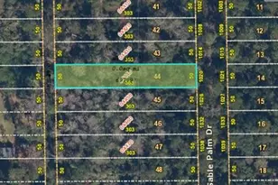 1020 Sable Palm Dr, Christmas, FL 32709 - Photo 1