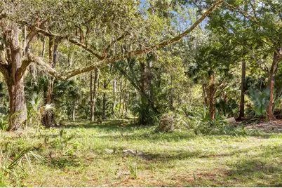 Bronson Road, Sorrento, FL 32776 - Photo 8