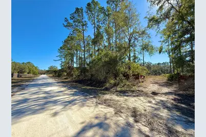 484 NE 412th Avenue, Old Town, FL 32680 - Photo 1