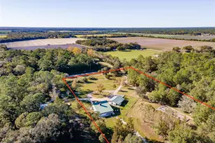 4195 Co Rd 305, Bunnell, FL 32110 - Photo 36