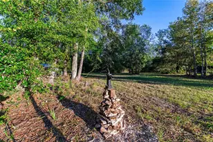 4195 Co Rd 305, Bunnell, FL 32110 - Photo 30