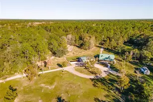 4195 Co Rd 305, Bunnell, FL 32110 - Photo 32