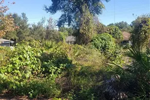 Chestnut Ave, Orange City, FL 32763 - Photo 1