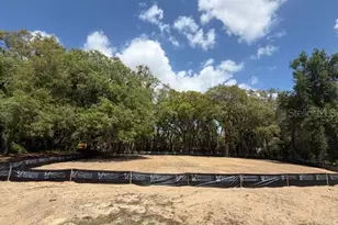 17144 Phil C Peters Rd, Winter Garden, FL 34787 - Photo 1
