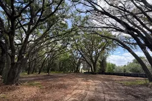 17144 Phil C Peters Rd, Winter Garden, FL 34787 - Photo 8