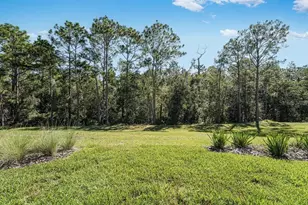 919 Tassleflower Trl, Saint Cloud, FL 34771 - Photo 30