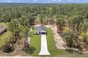 12386 SW 89th St, Dunnellon, FL 34432 - Photo 4