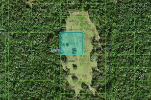 Commonwealth Ave N, Polk City, FL 33868 - Photo 1