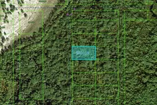 Commonwealth Ave N, Polk City, FL 33868 - Photo 1