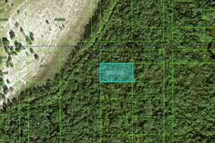 Commonwealth Ave N, Polk City, FL 33868 - Photo 1