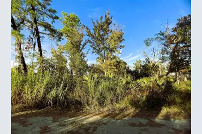 0 Sr-19, Altoona, FL 32702 - Photo 6