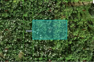 Commonwealth Ave N, Polk City, FL 33868 - Photo 1