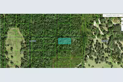 Commonwealth Ave N, Polk City, FL 33868 - Photo 2