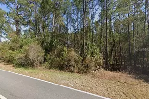 Royal Trails Rd, Eustis, FL 32736 - Photo 1