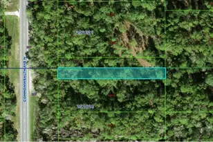 Commonwealth Ave N, Polk City, FL 33868 - Photo 1