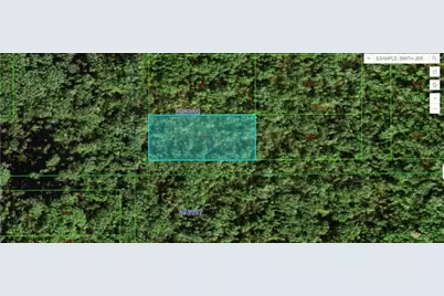 Commonwealth Ave N, Polk City, FL 33868 - Photo 1