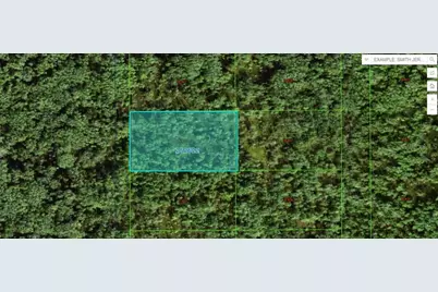 Commonwealth Ave N, Polk City, FL 33868 - Photo 1