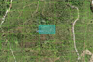 Tiger Lake Rd, Lake Wales, FL 33898 - Photo 1