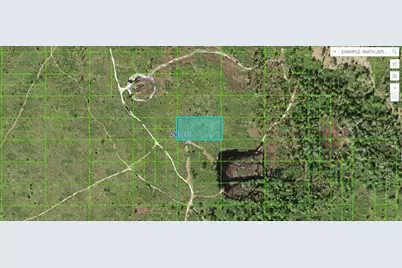 Tiger Lake Road, Lake Wales, FL 33898 - Photo 1