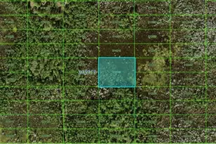 Old Grade Rd, Polk City, FL 33868 - Photo 1