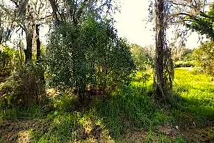 3883 Barnes Rd, Auburndale, FL 33823 - Photo 1