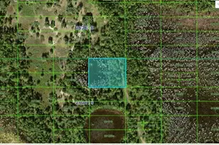 Old Grade Rd, Polk City, FL 33868 - Photo 1