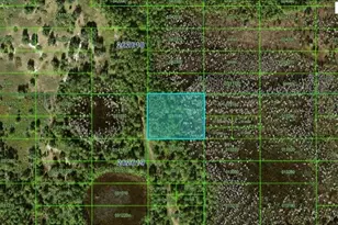 Old Grade Rd, Polk City, FL 33868 - Photo 1