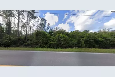 Deen Still Rd Road, Polk City, FL 33868 - Photo 2