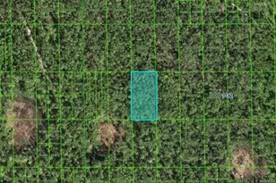 Hwy 60 E, Lake Wales, FL 33898 - Photo 1