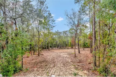 1716 E Bismark Street, Hernando, FL 34442 - Photo 2