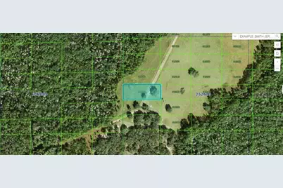 Backland Path Road, Polk City, FL 33868 - Photo 1