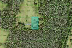 Commonwealth Ave N, Polk City, FL 33868 - Photo 1