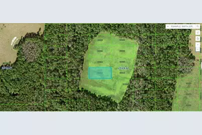 Double Diamond Dr, Polk City, FL 33868 - Photo 1