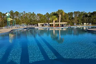 2667 Swooping Sparrow Dr, Saint Cloud, FL 34771 - Photo 44