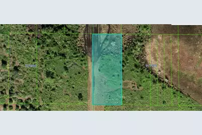 Shady Oaks Dr, Lake Wales, FL 33898 - Photo 4