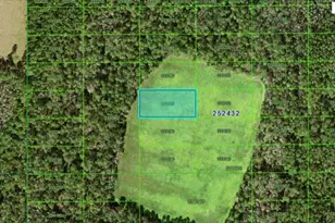 Commonwealth Ave N, Polk City, FL 33868 - Photo 1