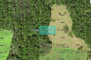 Commonwealth Ave N, Polk City, FL 33868 - Photo 1