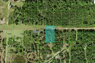 Gerber Dairy Rd, Winter Haven, FL 33880 - Photo 1