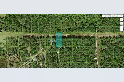 Gerber Dairy Rd, Winter Haven, FL 33880 - Photo 1