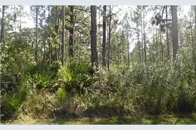 Hwy 60 E, Lake Wales, FL 33898 - Photo 2