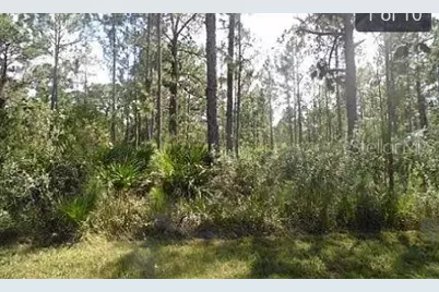 Hwy 60 E, Lake Wales, FL 33898 - Photo 2