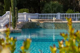 11148 Lane Park Rd, Tavares, FL 32778 - Photo 16