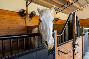 11148 Lane Park Rd, Tavares, FL 32778 - Photo 44