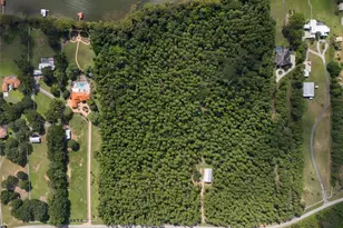 11148 Lane Park Rd, Tavares, FL 32778 - Photo 8